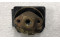 5652247,, Piper Aircraft Fuel Pressure Cluster Gauge Indicator
