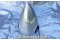C-3532-5P, C3532-5P, Beechcraft Bonanza Three Blade Aircraft Propeller Spinner C-3532-5P, C3532-5P, Beechcraft Bonanza Three Blade Aircraft Propeller Spinner