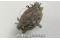 1311L, 5930-00-626-0252, Aircraft Rotary Switch