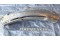 Aircraft Radial Engine Exhaust Shield / Heat Shroud - b