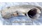 Aircraft Radial Engine Exhaust Shield / Heat Shroud - c