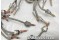 Continental O-470 / O-520 Engine Slick 662 Magneto Ignition Harness
